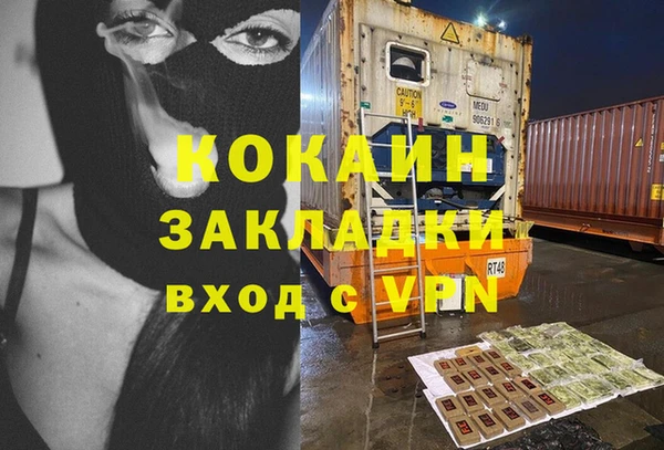 молекула духа Богородицк